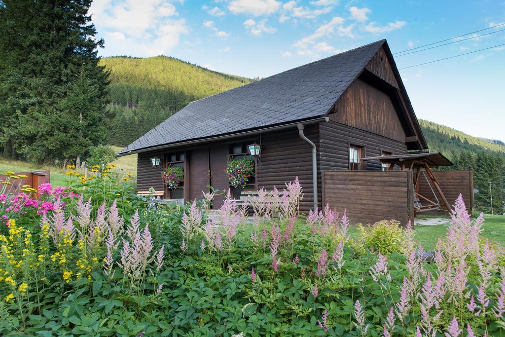 Gasthof Draxlerhaus Hohentauern Kültér fotó