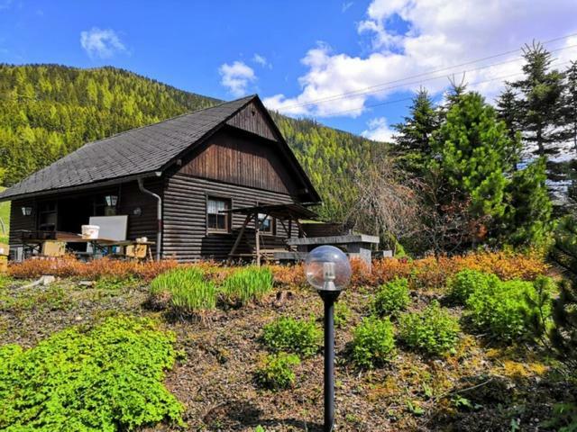 Gasthof Draxlerhaus Hohentauern Kültér fotó